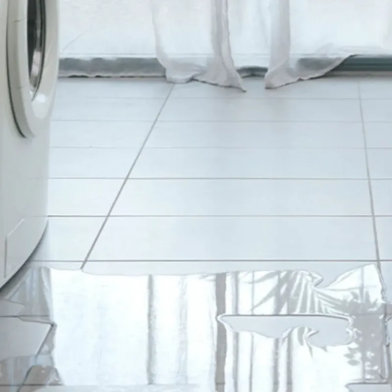 Appliance Leak Cleanup in Monroe County, IA