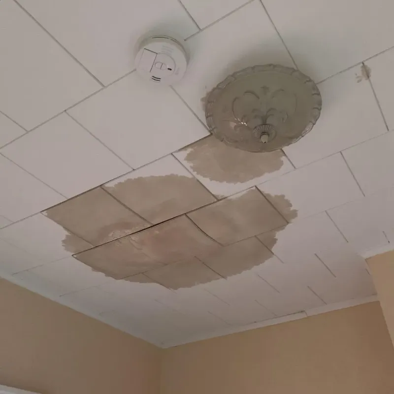 Ceiling Water Damage Repair in Monroe County, IA