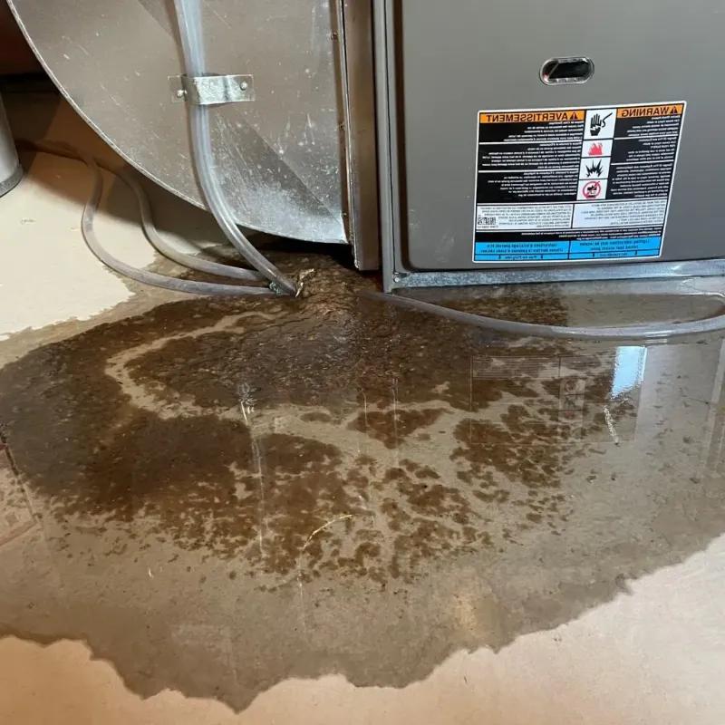 Pipe Burst and Leak Restoration in Monroe County, IA