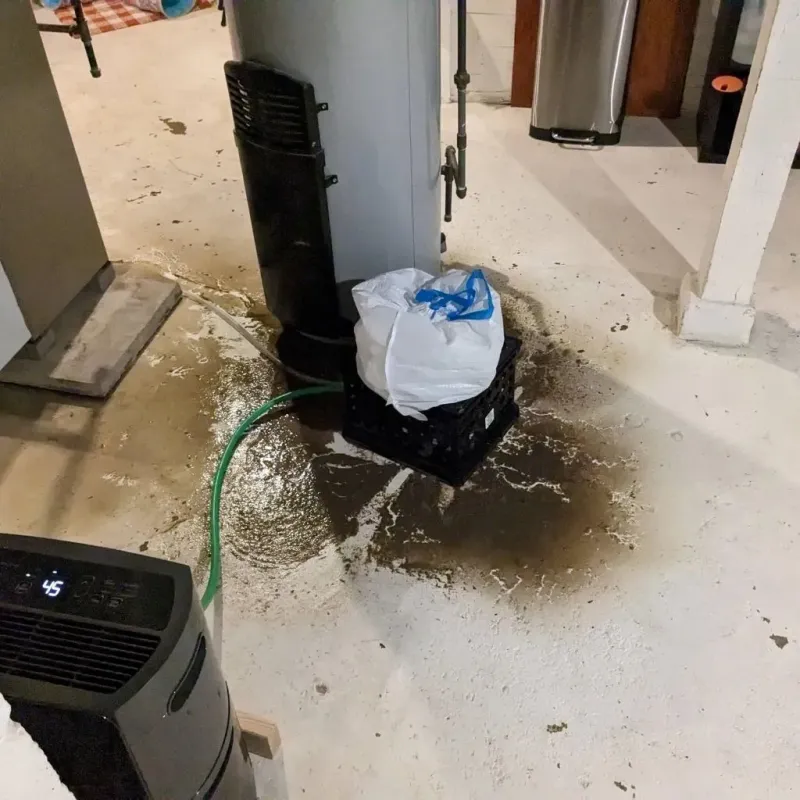 Sewage Backup Cleanup Service in Monroe County, IA